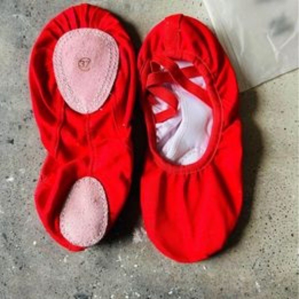 NEW Canvas Red ballet flats_37